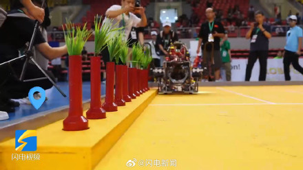 大学生的种地DNA觉醒了