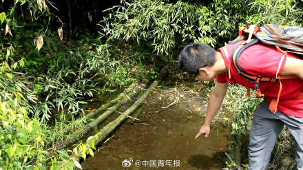 四川峨眉山发现失踪半个多世纪的神秘物种