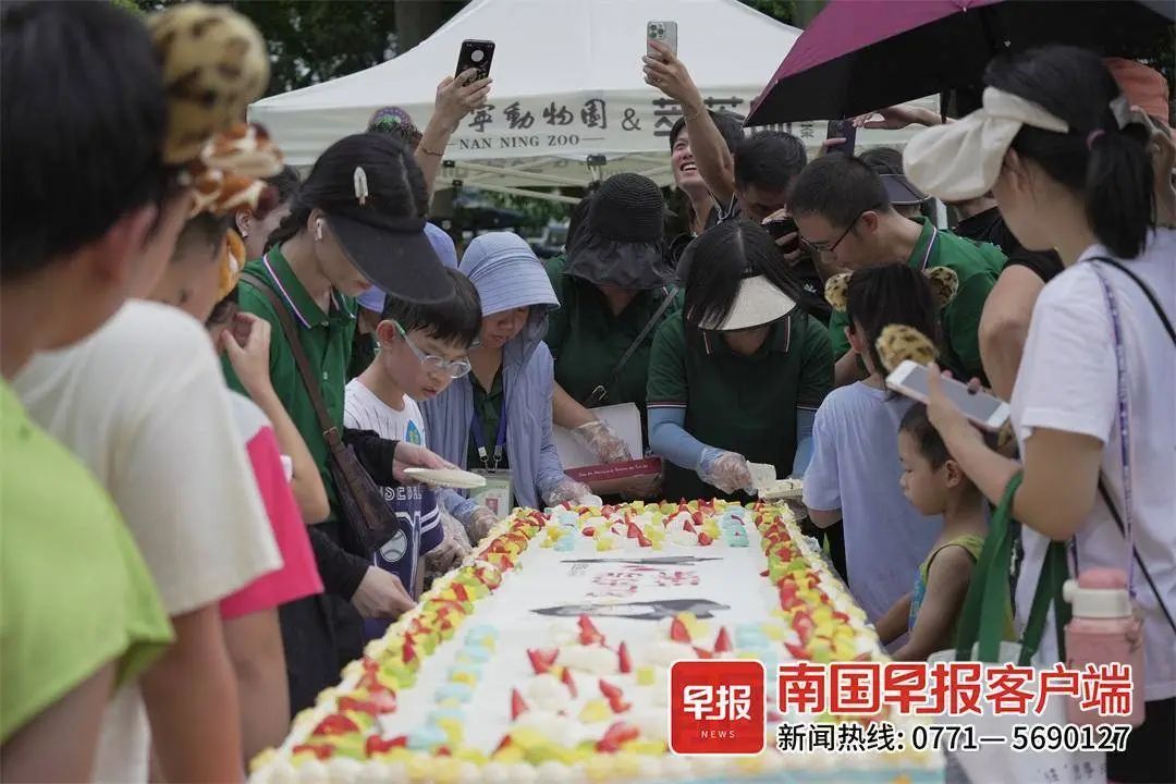 南宁动物园的黑猩猩山米37岁了！生日会现场展示绝活→