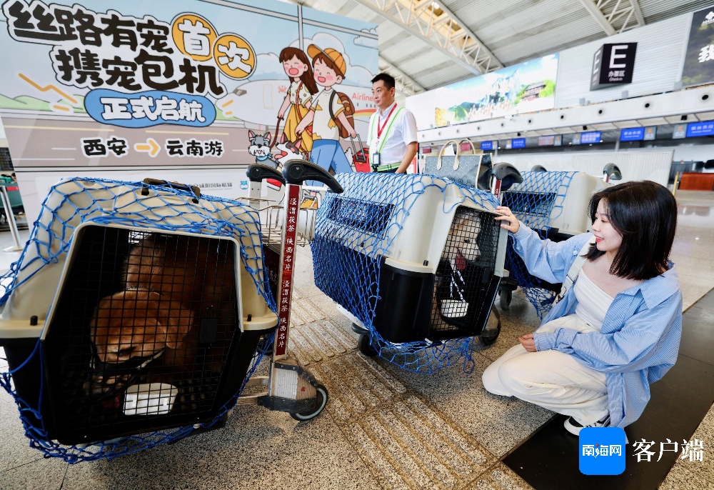 宠物也能“坐”飞机啦！海南航空首个宠物包机航班启航
