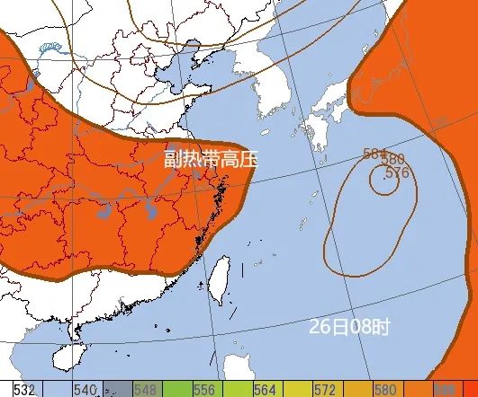 这伏出了又好像没出…网友崩溃:上海的夏天热到记入史册...