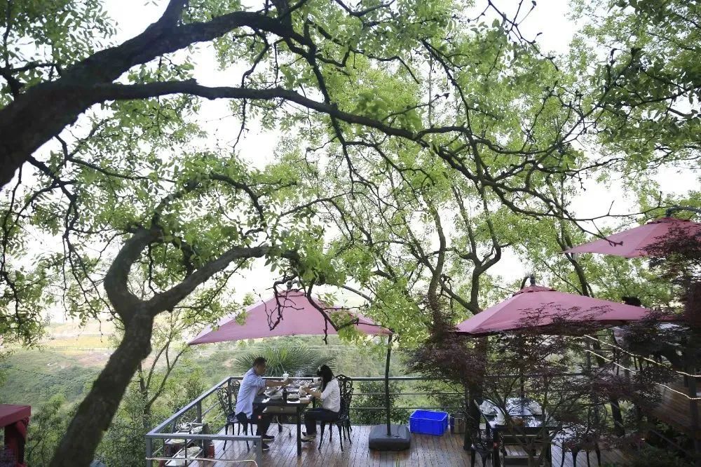 40℃+高温下，重庆人“松弛感”就是“清凉处方”