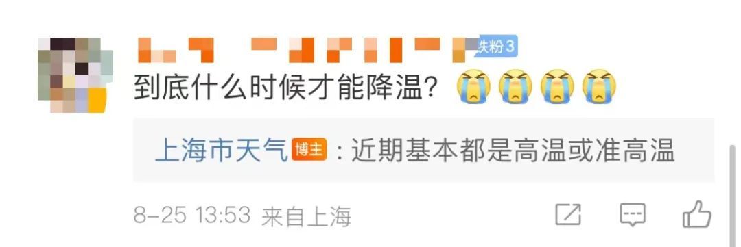 这伏出了又好像没出…网友崩溃:上海的夏天热到记入史册...