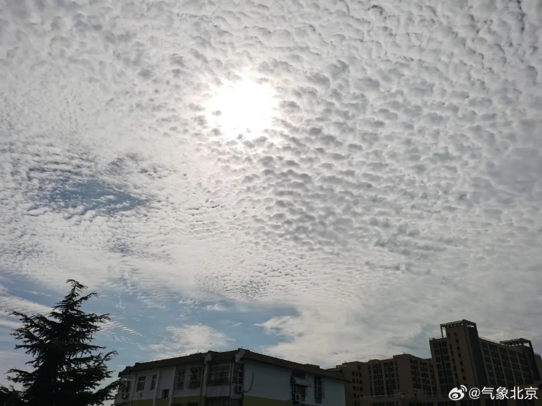 北京天空出现大量“鱼鳞云”，有什么特别预示？专业解答——
