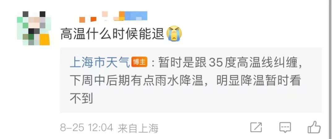 这伏出了又好像没出…网友崩溃:上海的夏天热到记入史册...