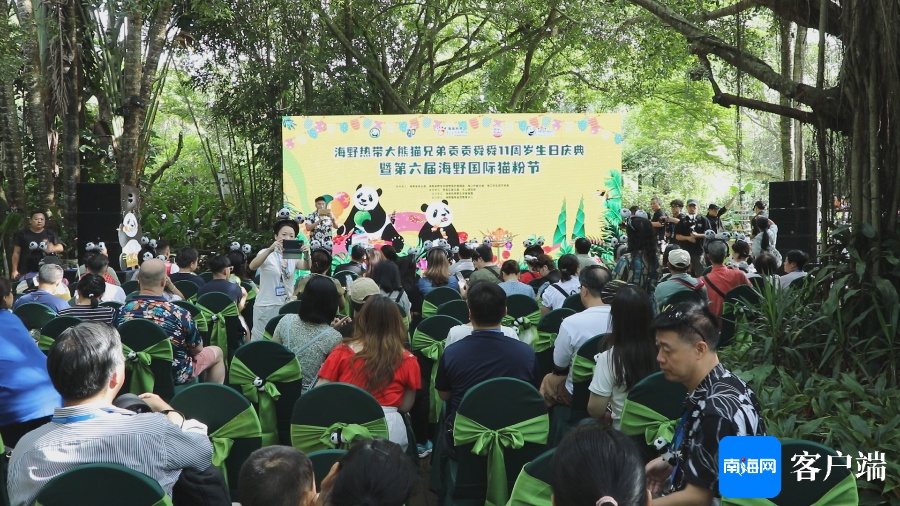 海野大熊猫贡贡、舜舜11岁生日快乐! 海野大熊猫贡贡、舜舜11岁生日快乐!