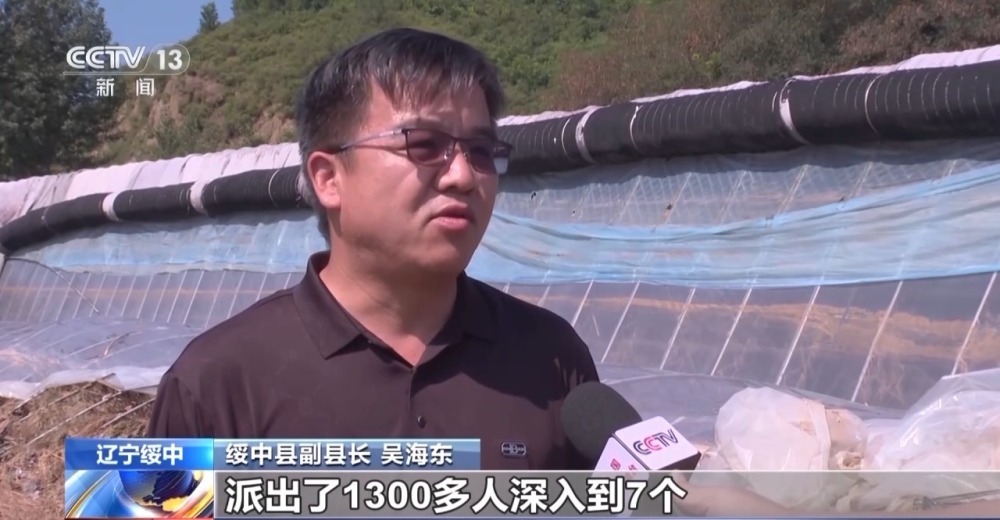 辽宁葫芦岛遭遇罕见强降雨 多方协同加快灾区重建 辽宁葫芦岛遭遇罕见强降雨 多方协同加快灾区重建