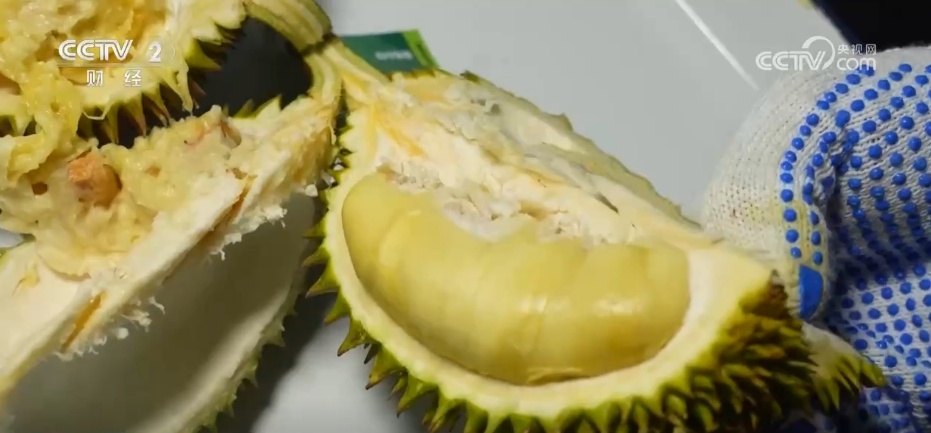 多点发力助力进口水果品种持续扩大 居民端稳“果盘子”享受“甜日子” 多点发力助力进口水果品种持续扩大 居民端稳“果盘子”享受“甜日子”