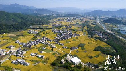 国家级桨板赛事落户清远阳山 国家级桨板赛事落户清远阳山