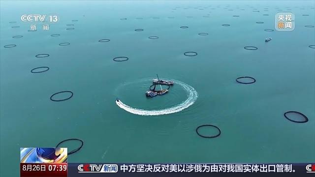 踏浪逐鲜 湛江开渔后的“第一网鲜”来啦! 踏浪逐鲜 湛江开渔后的“第一网鲜”来啦!