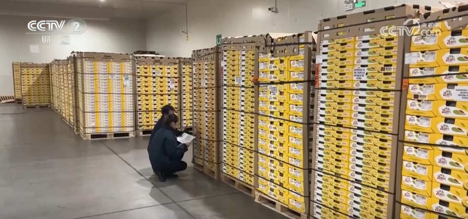 多点发力助力进口水果品种持续扩大 居民端稳“果盘子”享受“甜日子” 多点发力助力进口水果品种持续扩大 居民端稳“果盘子”享受“甜日子”