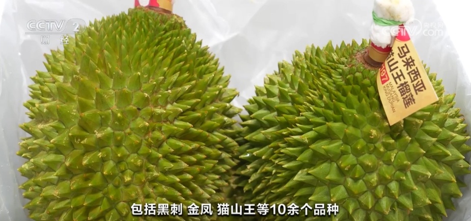 多点发力助力进口水果品种持续扩大 居民端稳“果盘子”享受“甜日子” 多点发力助力进口水果品种持续扩大 居民端稳“果盘子”享受“甜日子”