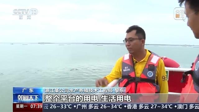 踏浪逐鲜 湛江开渔后的“第一网鲜”来啦! 踏浪逐鲜 湛江开渔后的“第一网鲜”来啦!
