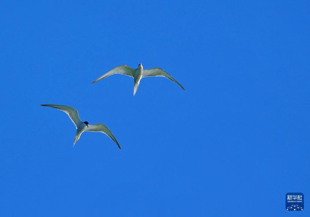 西藏:大美错鄂湖 西藏:大美错鄂湖