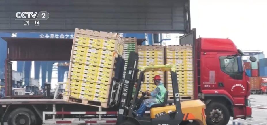 多点发力助力进口水果品种持续扩大 居民端稳“果盘子”享受“甜日子” 多点发力助力进口水果品种持续扩大 居民端稳“果盘子”享受“甜日子”