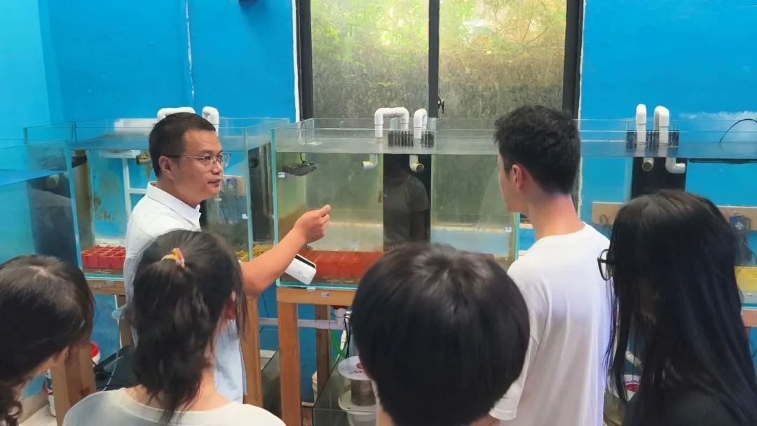 为珊瑚搭建“避难所” 为珊瑚搭建“避难所”