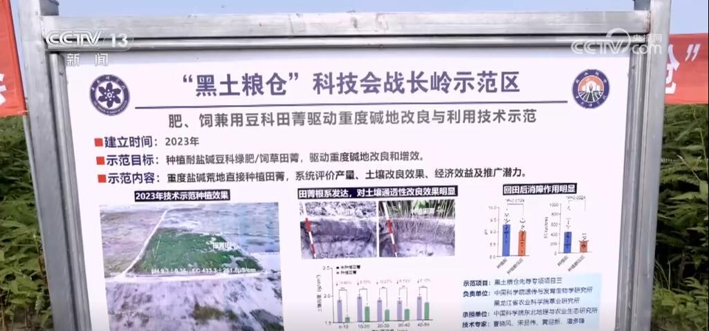 破“碱”重生！我国生物改良盐碱地技术取得重要进展