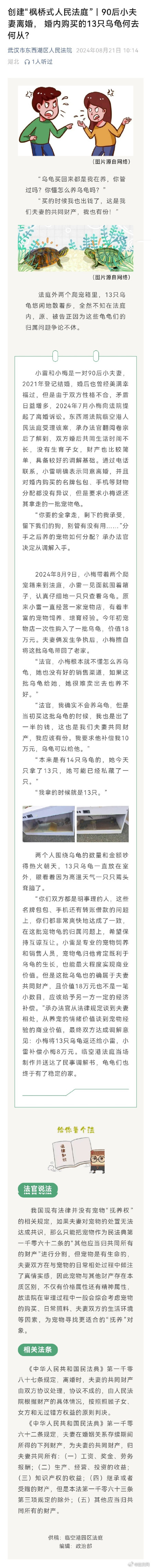 夫妻闹离婚争13只乌龟抚养权,法院调解 夫妻闹离婚争13只乌龟抚养权,法院调解