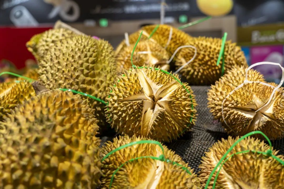 实现舌尖上的“榴莲自由”还远吗？