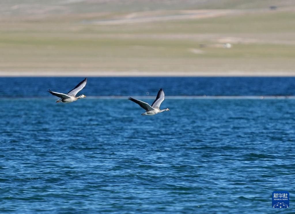 西藏:大美错鄂湖 西藏:大美错鄂湖