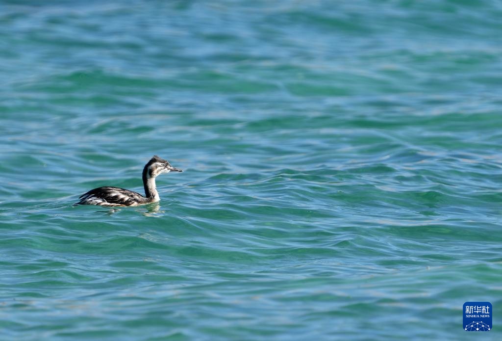 西藏:大美错鄂湖 西藏:大美错鄂湖