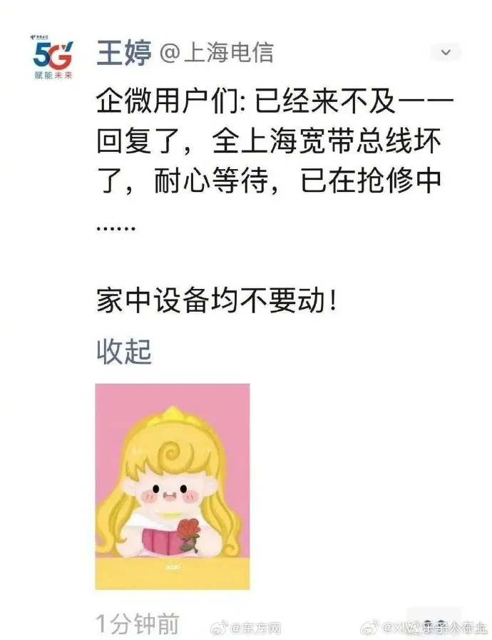 刚刚，上海大面积断网？上海电信回应→