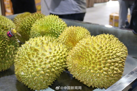 吃货们看过来,10个东盟榴莲,7个来自这里…… 吃货们看过来,10个东盟榴莲,7个来自这里……