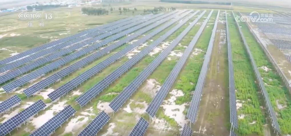 破“碱”重生！我国生物改良盐碱地技术取得重要进展