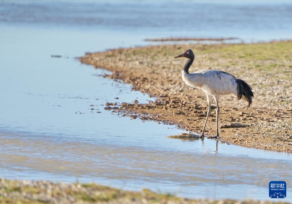 西藏:大美错鄂湖 西藏:大美错鄂湖