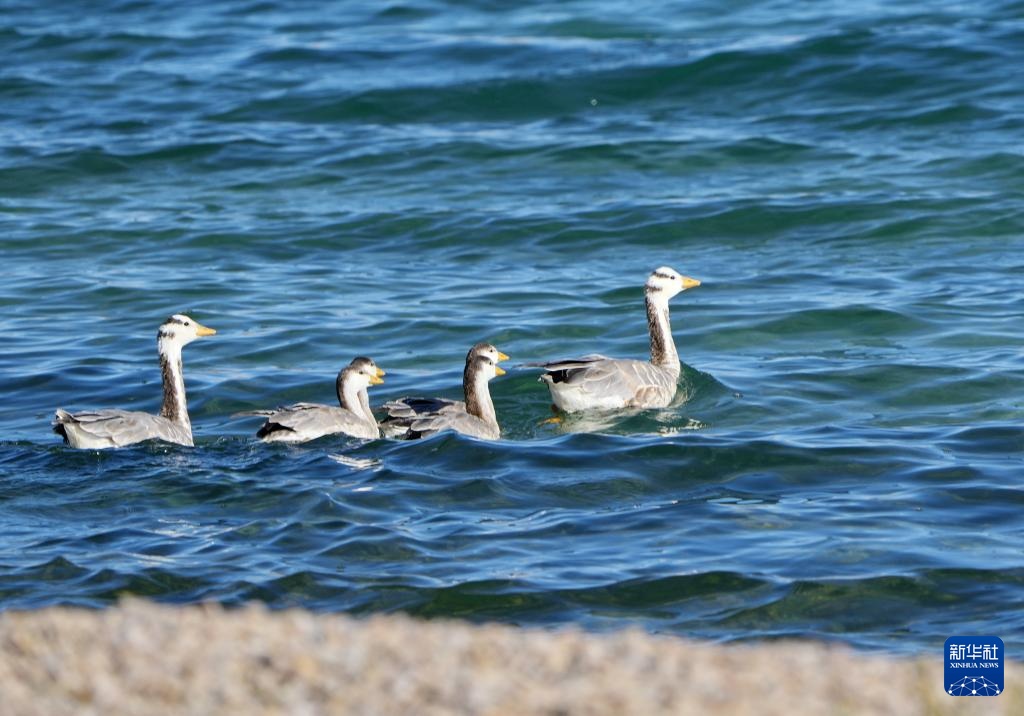 西藏:大美错鄂湖 西藏:大美错鄂湖