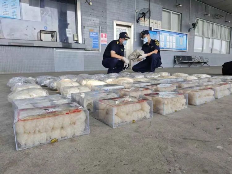 深圳湾海关查获一起改装油箱夹藏走私燕窝案