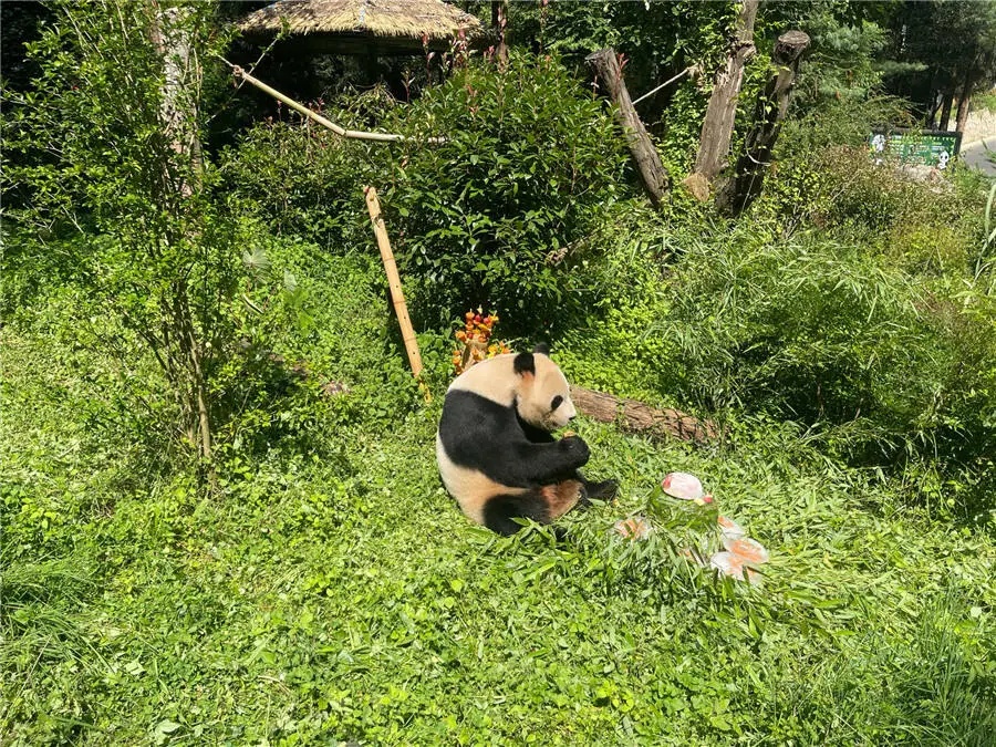 火爆！昆明上榜全国TOP10