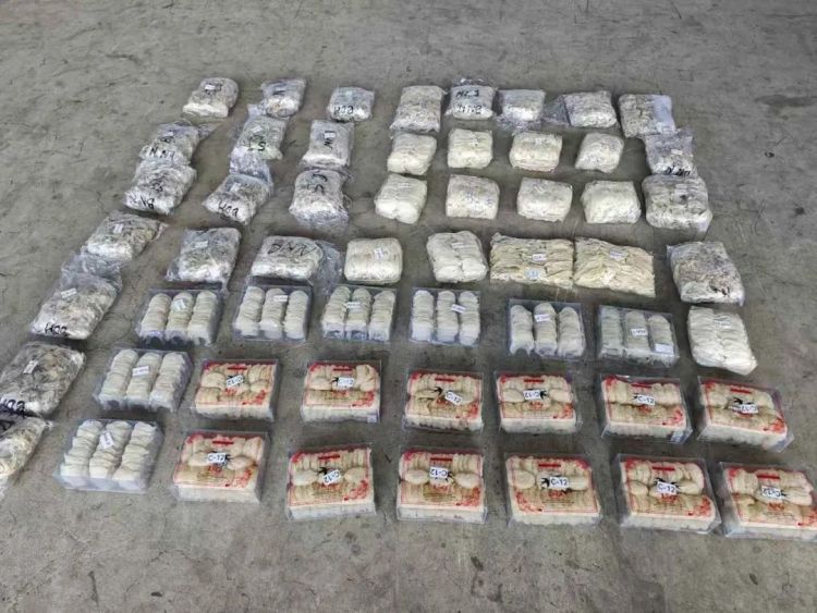 深圳湾海关查获一起改装油箱夹藏走私燕窝案