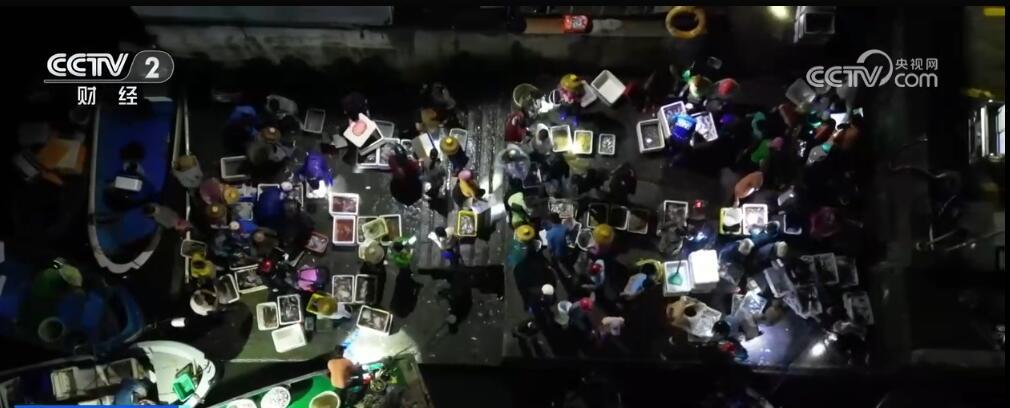 海上逐鲜，鱼虾满舱! 开渔丰收季港口一片繁忙 海产品供销两旺