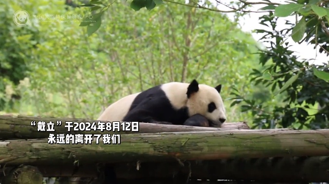 官方证实已离世，费翔发文告别