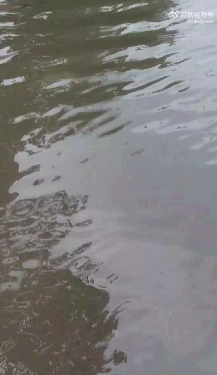 山东多地特大暴雨破纪录 山东多地特大暴雨破纪录