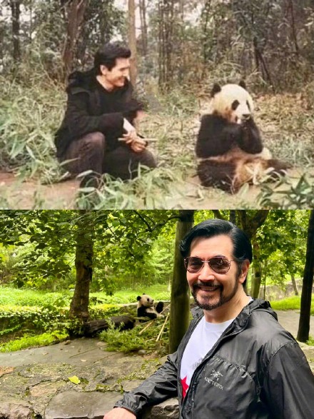 费翔领养多年的大熊猫“戴立”去世