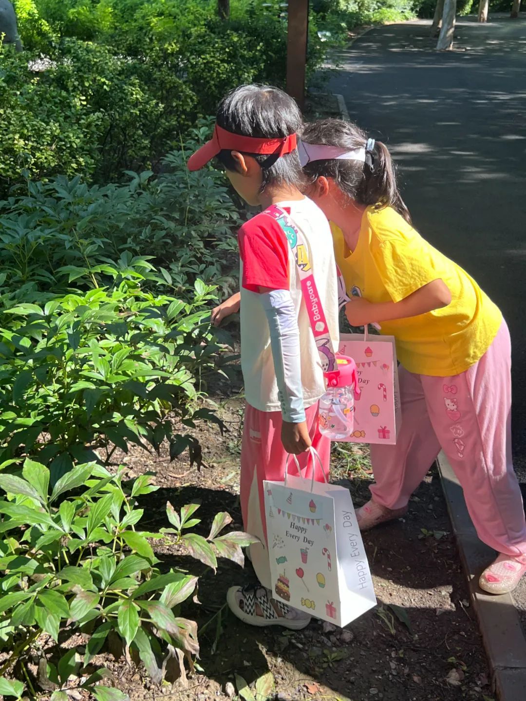 展现绿隔公园服务功能新面貌，八家郊野公园开展“植物探秘之旅”