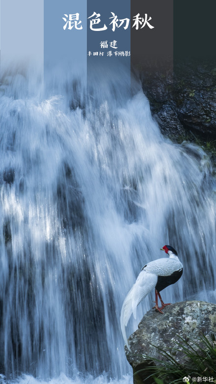 打卡!初秋渐变色大美中国 打卡!初秋渐变色大美中国