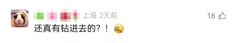 惊险一幕！男子一时冲动钻入废品回收机后被困，幸运的是……
