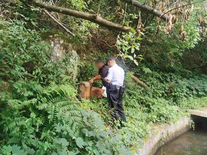 11箱蜂蜜被掏空！警方调查后：不是熊大熊二，是他们......