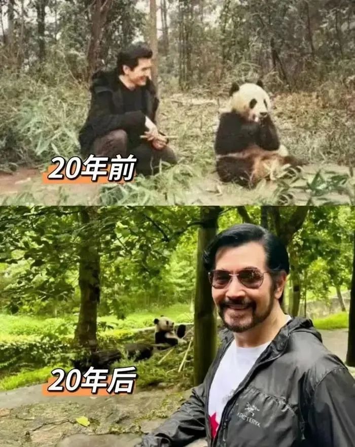 官方证实已离世，费翔发文告别