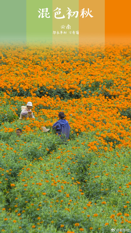 打卡!初秋渐变色大美中国 打卡!初秋渐变色大美中国