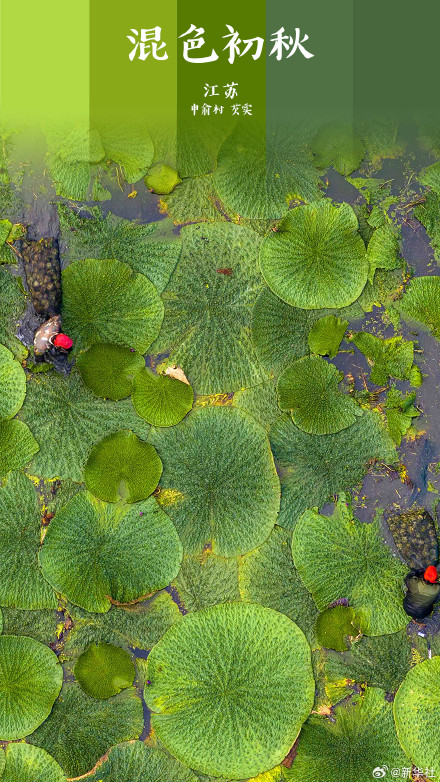 打卡!初秋渐变色大美中国 打卡!初秋渐变色大美中国