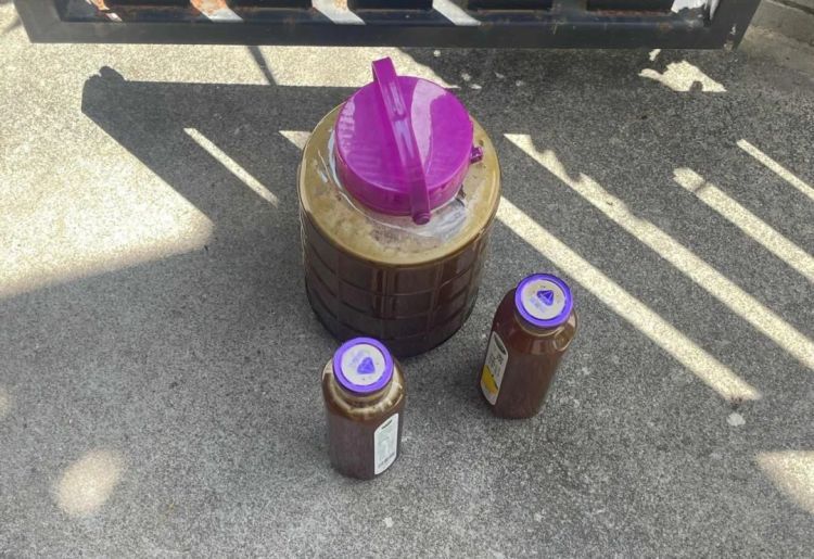 11箱蜂蜜被掏空！警方调查后：不是熊大熊二，是他们......