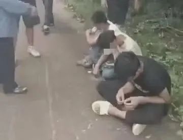 海口3人光天化日下偷槟榔，全部落网