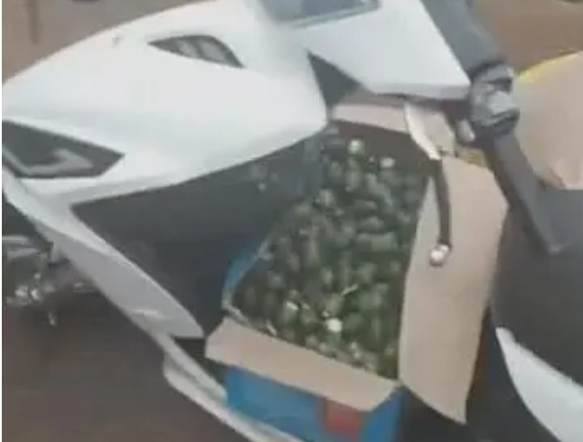 海口3人光天化日下偷槟榔，全部落网