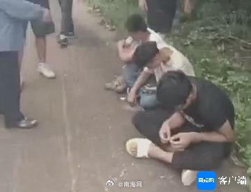 海口3人白天偷槟榔被抓 海口3人白天偷槟榔被抓