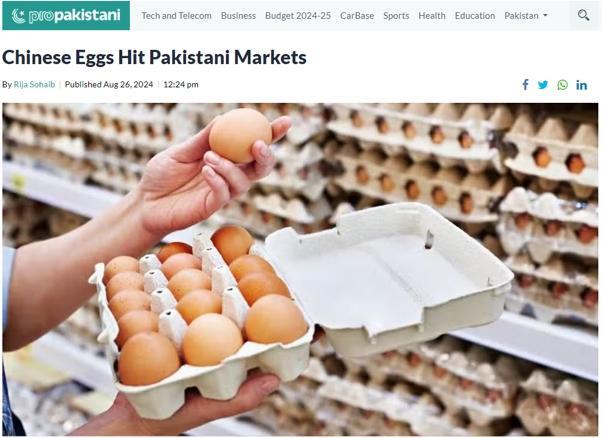 解燃眉之急!17.28万枚中国鸡蛋抵达巴基斯坦 解燃眉之急!17.28万枚中国鸡蛋抵达巴基斯坦