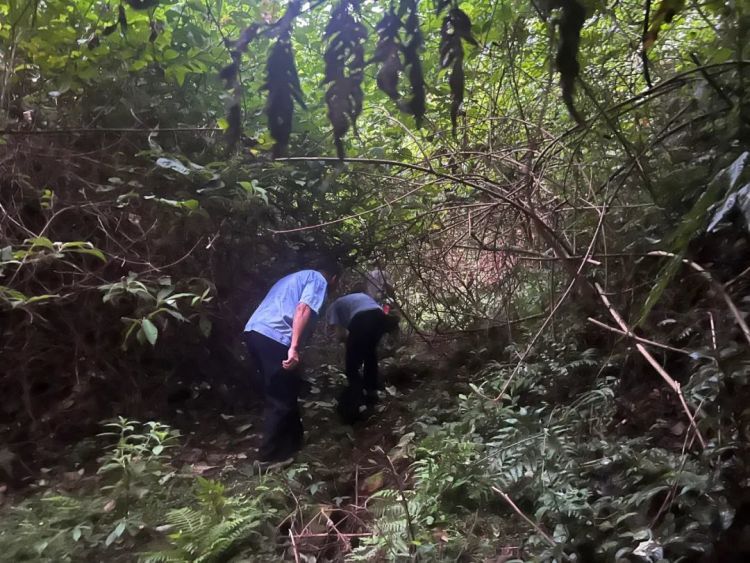 七旬老人深山走失！2小时成功搜救